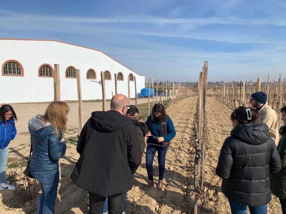 Fotografía de: Semana presencial del Curso de Iniciación a la Sumillería | CETT